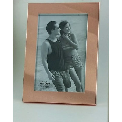 Litwin Metal Matte Picture Frame