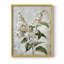 Série FLORAL CCLI - reproduction encadrée de qualité supérieure - prête à être accrochée - aucun clou requis-1403602337-1403602346