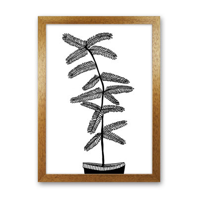Mimosa by Carissa Tanton - Print