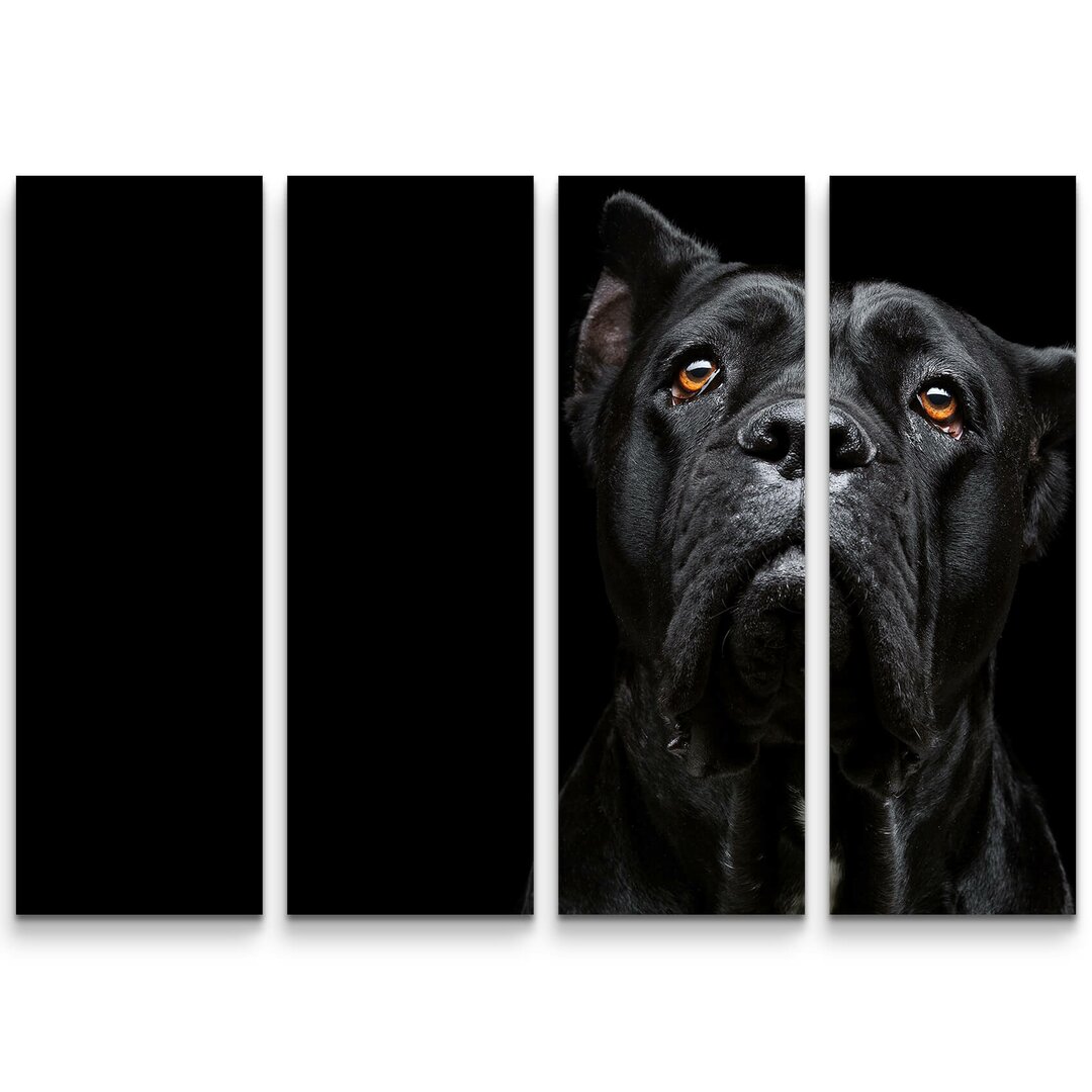 4-tlg. Leinwandbilder-Set Cane Corso Portrait