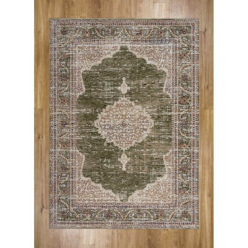 Abbate Oriental Area Rug, Rectangle 80 x 150cm