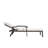 Outdoor Chaise Lounge Chair-1019398666
