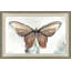 Painted Butterfly Diagram 4 Painting