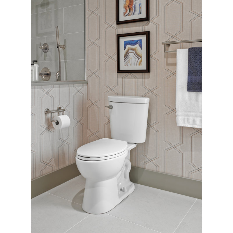 Bath Safety Wall Mounted Toilet Paper Holder, Brilliance Stainless