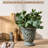 Kitchen Countertop Utensil Rack
