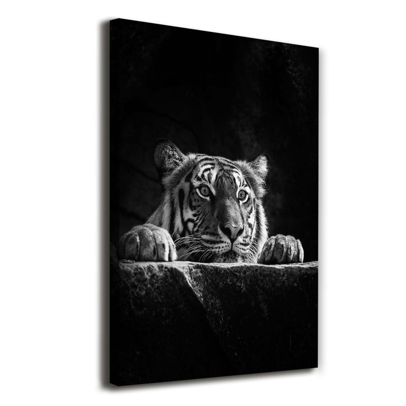 Tiger - Wrapped Canvas Print
