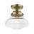 Jarek 1-Light 9" Semi Flush Mount-449286830