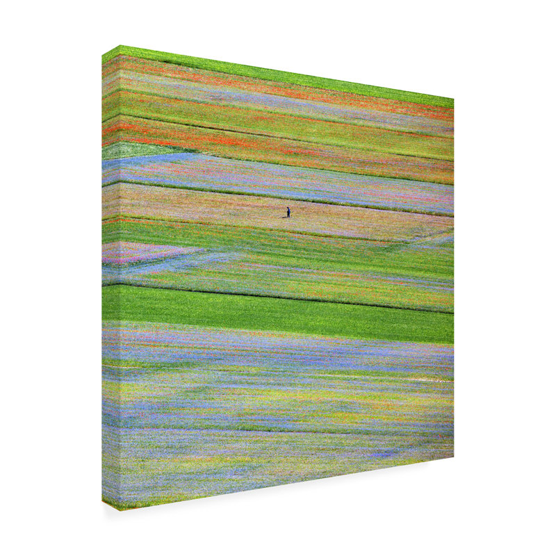 Art sur toile Massimo Della Latta Castelluccio 5, H 14 po x l 14 po