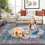 Tapis lavable rétro pour tapis de salon-332119258