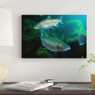 «Rainbow Trout Couple Underwater», reproduction de photo sur toile