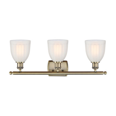 3 - Light Dimmable Vanity Light