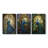 Peacock  Series  L  -Premium Gallery Wrapped Canvas Set -Ready to Hang-102398732