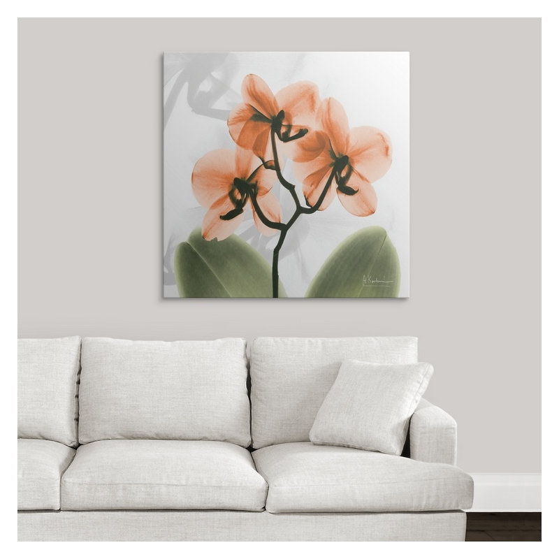 «Manigault» Orchid X-Ray par Kiranjit, reproduction de photo, H 35 po x l 35 po x P 1,5 po, Toile