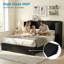 Queen Murphy Bed with RGB LED Light & Storage Drawer, Black