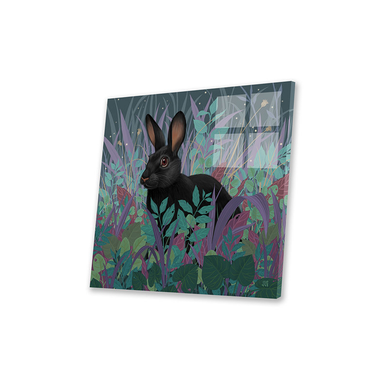 " Black Rabbit " by Vasilisa Romanenko