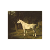 Forest Dapple Print by Jacques Agasse