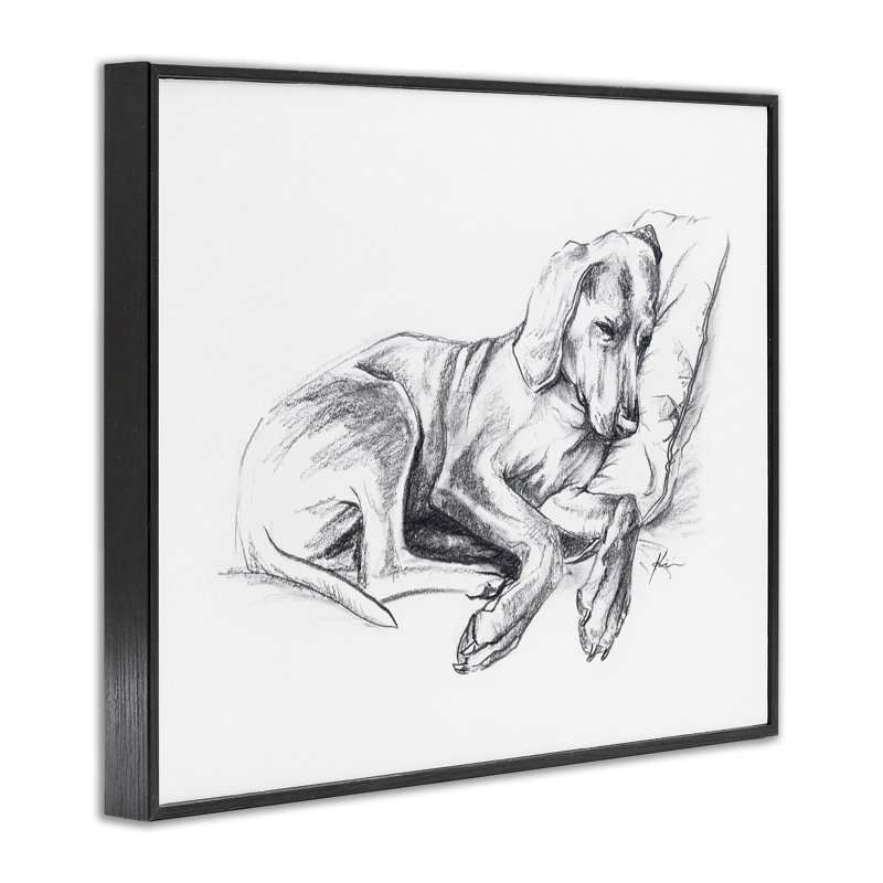«Napping Dog», estampe numérique par Lindsay Kivi Fine Art, H 24 po x l 30 po, Giclée encadrée noir minuit