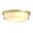 2-Lamp Gold Glass Dimmable Industrial Ceiling Light