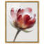 Crimson Core II High-Gloss Frameless Acrylic Glass Wall Art Abstract Print by Oliver Gal, Ready to Hang, 16 x 20-508024975-508025014
