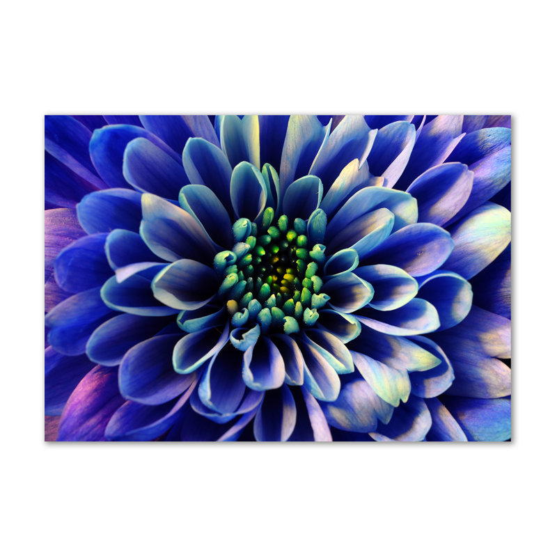 Aster - Wrapped Canvas Print