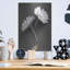 «Fresh Cut Daisy IV» par Debra Van Swearingen-217560667