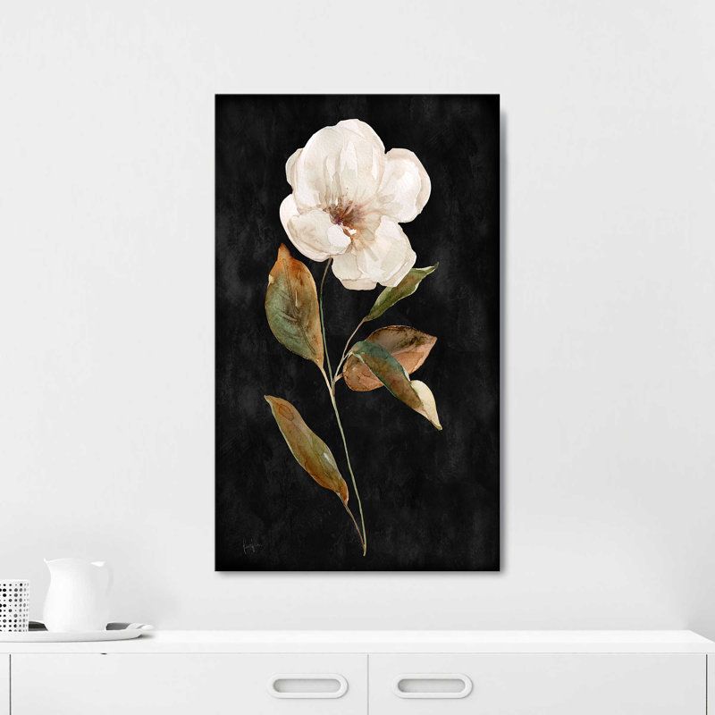 "Botanical on Black Wash I" par Livi Finn, reproduction sur toile, H 18 po x l 30 po x P 1 po