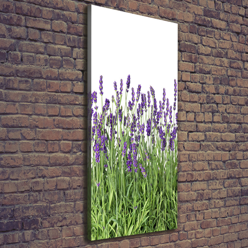 Lavender Field - Wrapped Canvas Print