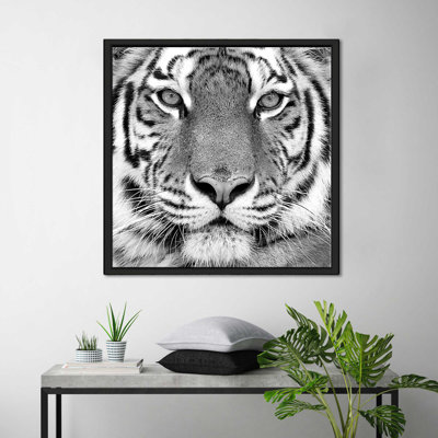 Tigre par Photoinc Studio - photographie