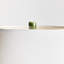 Parsley Table Lamp-1691047087