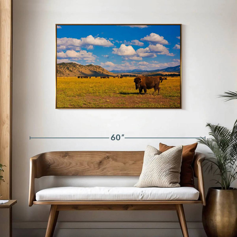 Bison dans le parc national, Cadre flottant doré, 43 po x 29 po