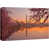 Wrapped Canvas