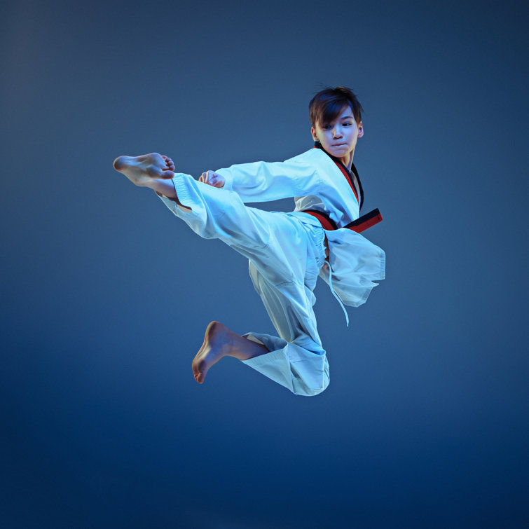 Karate by Master1305 - Wrapped Canvas Print