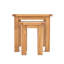 Abner Nesting Tables-16440489