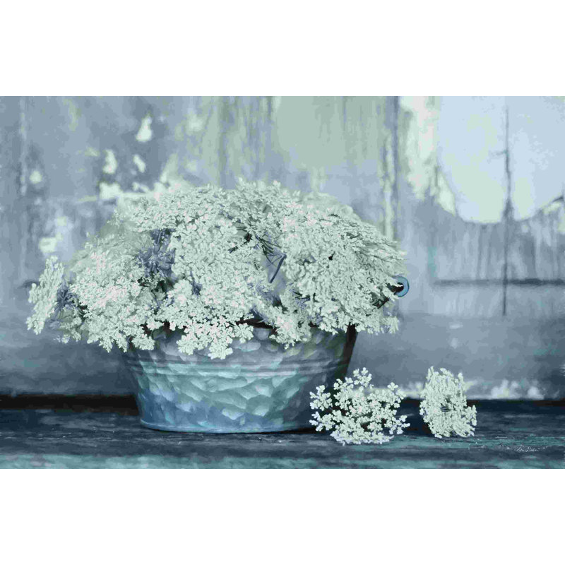 Queen Anne's Lace I 2885870, L 12 po x H 8 po