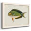 «Tropical Fish Collection I», reproduction sur toile-96286220-96286221