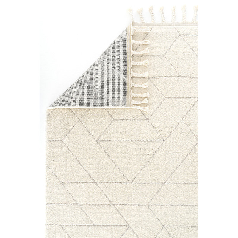 Rayhana Machine Made Indoor / Outdoor Area Rug, Rectangle 160 x 250cm