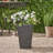 Jude Planter