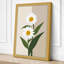 Simple Daisies Botanical - Wrapped Canvas-756871956-756871959