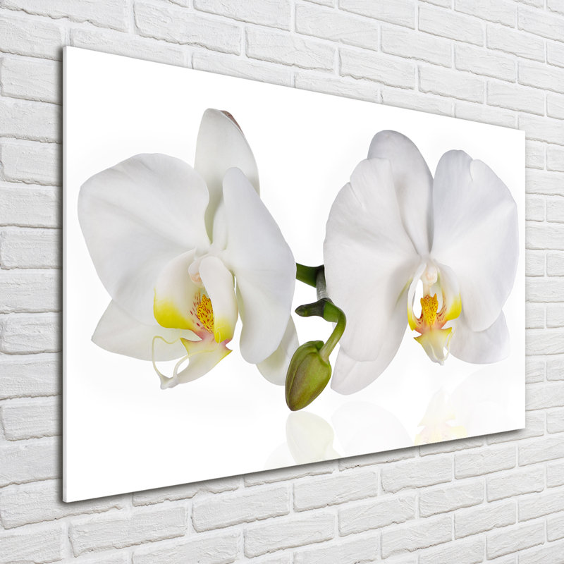 Orchid - No Frame Print on Glass