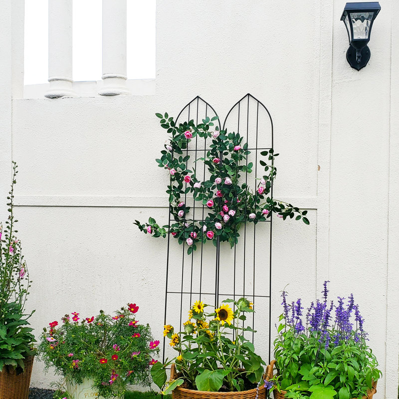Ensemble de 2 treillis de jardin pour vignes et plantes grimpantes d'extérieur H 60 po x l 18,9 po