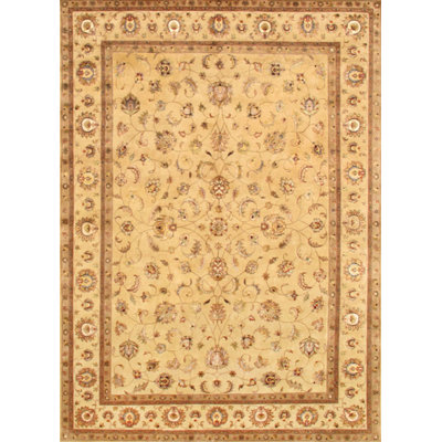 Agra Hand Knotted Viscose Oriental Indoor Rug