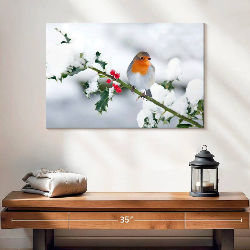 Winter Robin Songbird
