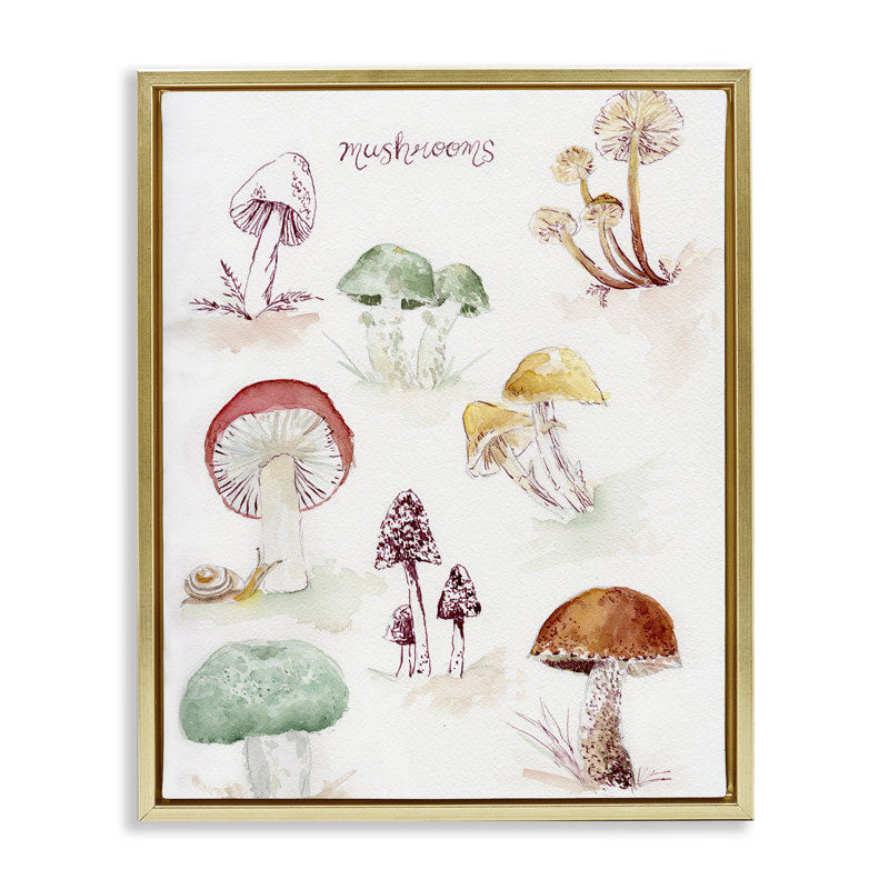 Types de champignons, art mural encadré par Melissa Hyatt, Cadre flottant métallique doré, H 31 po x l 25 po