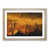 Oak Framed selected