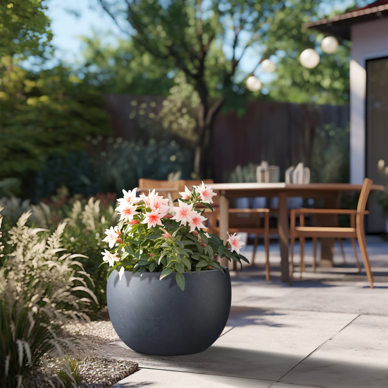Pot à fleurs en ciment Highwoods, H 7,87 po x l 11,81 po x P 11,81 po, Gris granite