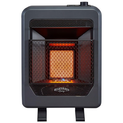 Bluegrass Living 10000 BTU Natural Gas High Efficiency Wall Mounted Space Heater