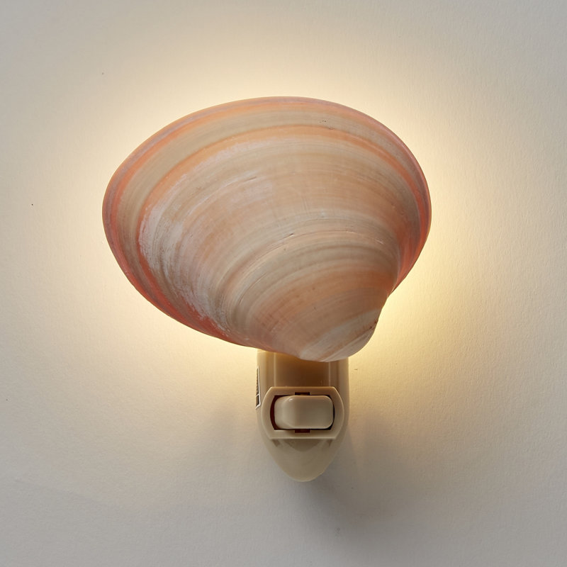 Clam Shell LED Night Light