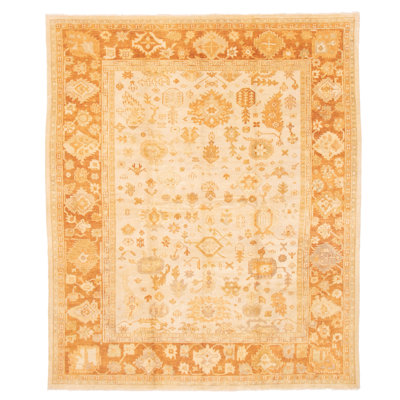 Tapis oriental en laine noué à la main Anatolian
