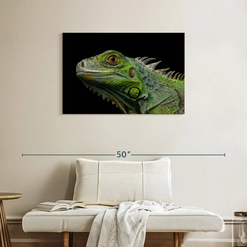 Tête d'iguane verte