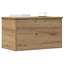 Camp Trunk / Footlocker-8069501